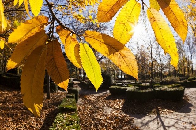Prognoză ANM: Temperaturi peste normalul sezonier și precipitații deficitare până la începutul lunii noiembrie