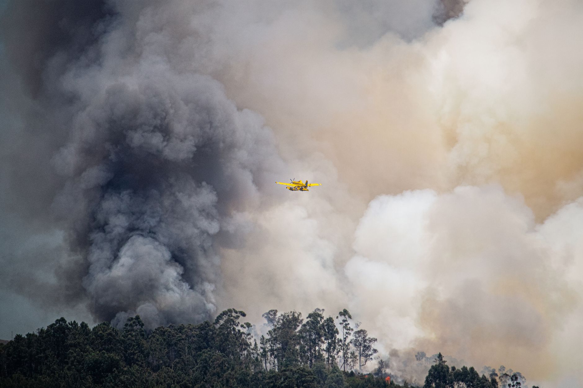 Intervenție aeriană în Gorj: Un avion C-27J Spartan al Forțelor Aeriene Române luptă cu incendiul de pădure