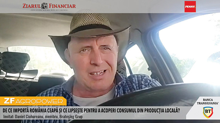 Cât costă producția de ceapă în România: Investiții uriașe și riscuri mari pentru fermieri