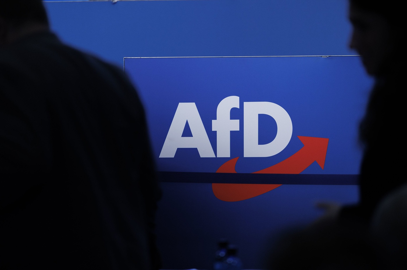 Schimbare istorică în Germania: Partidul AfD a câștigat președinția unui parlament regional