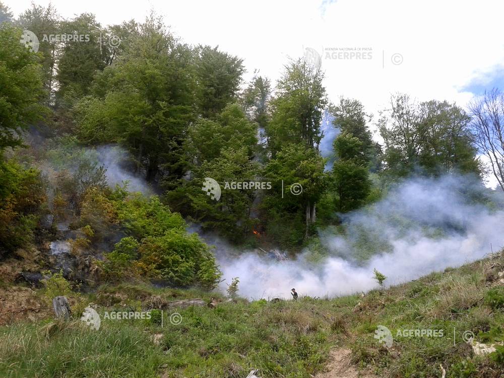 Pompierii reluau astăzi operațiunile de stingere a incendiului din Parcul Național Domogled-Valea Cernei