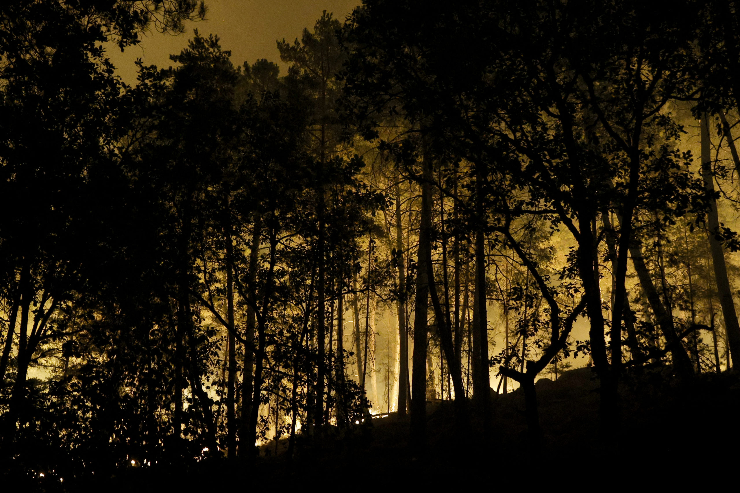 Incendiu masiv în Munții Rodopi, care s-a extins și în Grecia, nu a fost încă stins