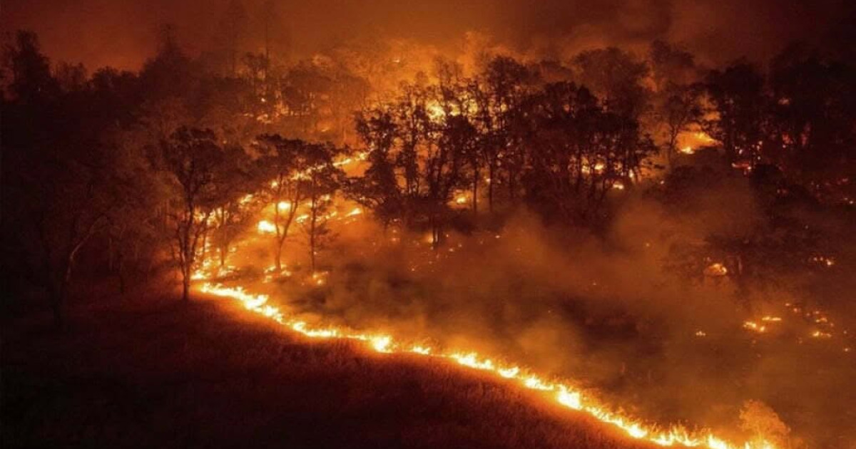Senatorul Varga Glad cere un raport public după incendiul masiv din Parcul Național Domogled