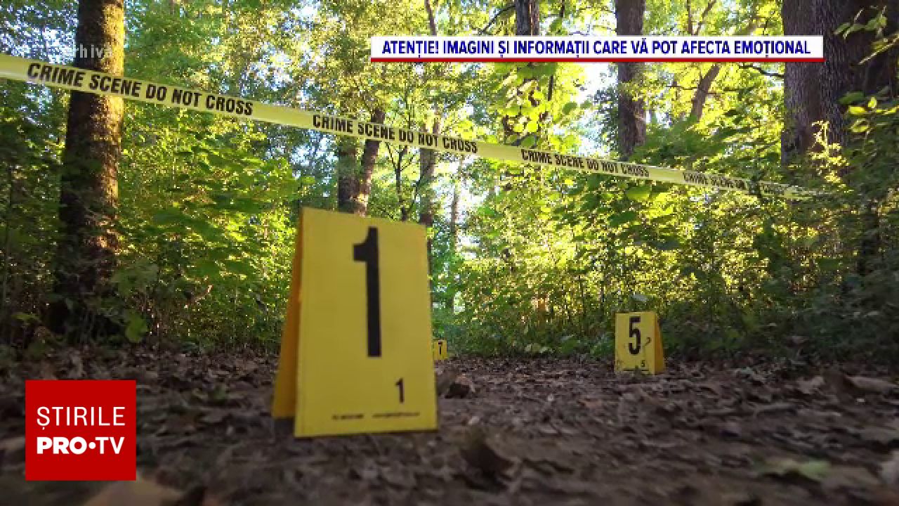 Mister în pădurea din Iași: Un boxer a fost găsit împușcat, apropiații exclud sinuciderea