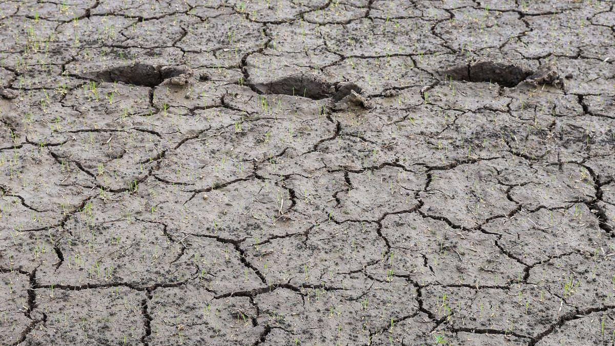 Alertă meteo globală: Fenomenul El Niño se intensifică și ar putea atinge un nivel record în decembrie