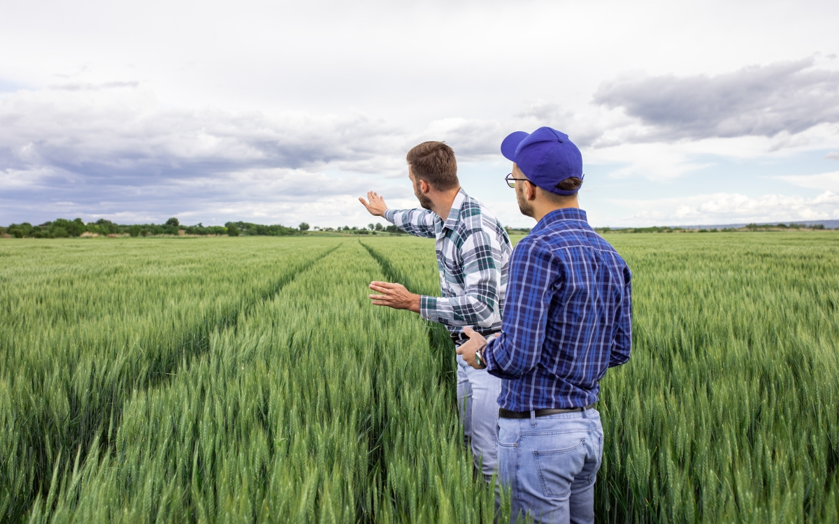 Agricultura responsabilă poate proteja stratul de ozon prin gestionarea corectă a azotului