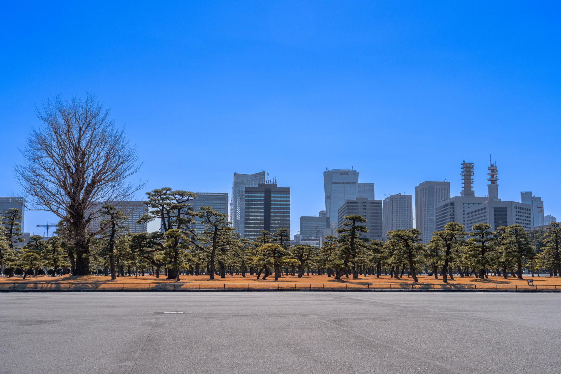 Criză de succesiune în Japonia: Tot mai mulți cetățeni cer ca prințesa Aiko să preia tronul imperial
