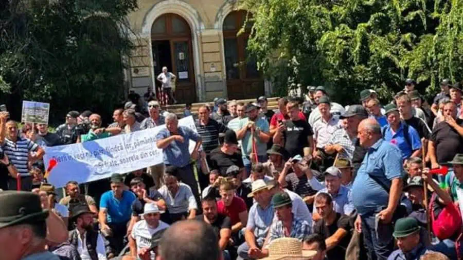 Oieri în Capitală amenință cu blocarea drumurilor în Valea Oltului dacă nu sunt ascultați de Guvern