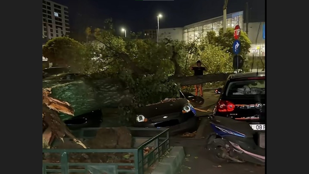 Incident grav în Capitală: un copac uriaș a căzut peste mașini și o motocicletă pe Bulevardul Iuliu Maniu