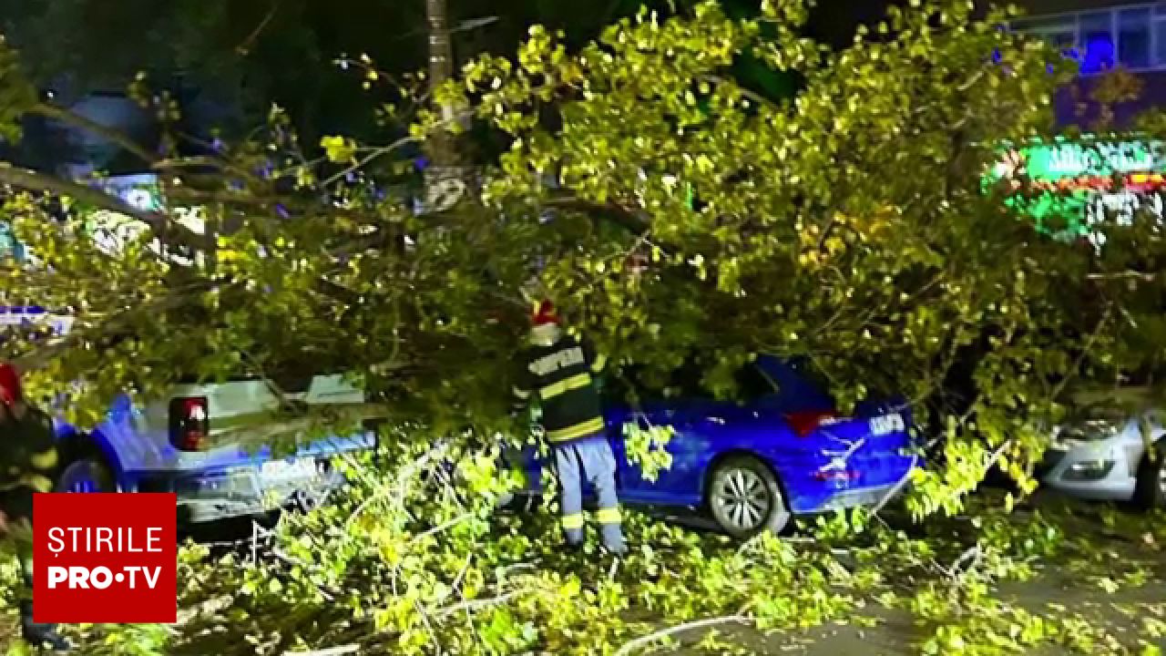Un plop s-a prăbușit peste un livrator la un semafor din București, provocând pagube materiale