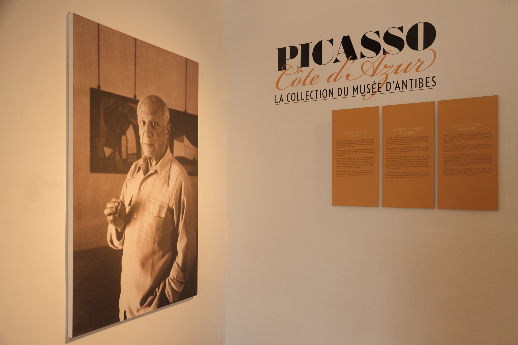 Universul artistic al lui Pablo Picasso: de la începuturile copilăriei la moștenirea de 70.000 de opere