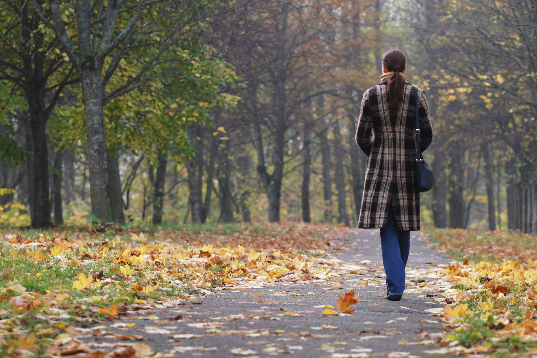 Vremea se schimbă radical: Ploi în toată țara, ninsori la munte și temperaturi mult mai mici