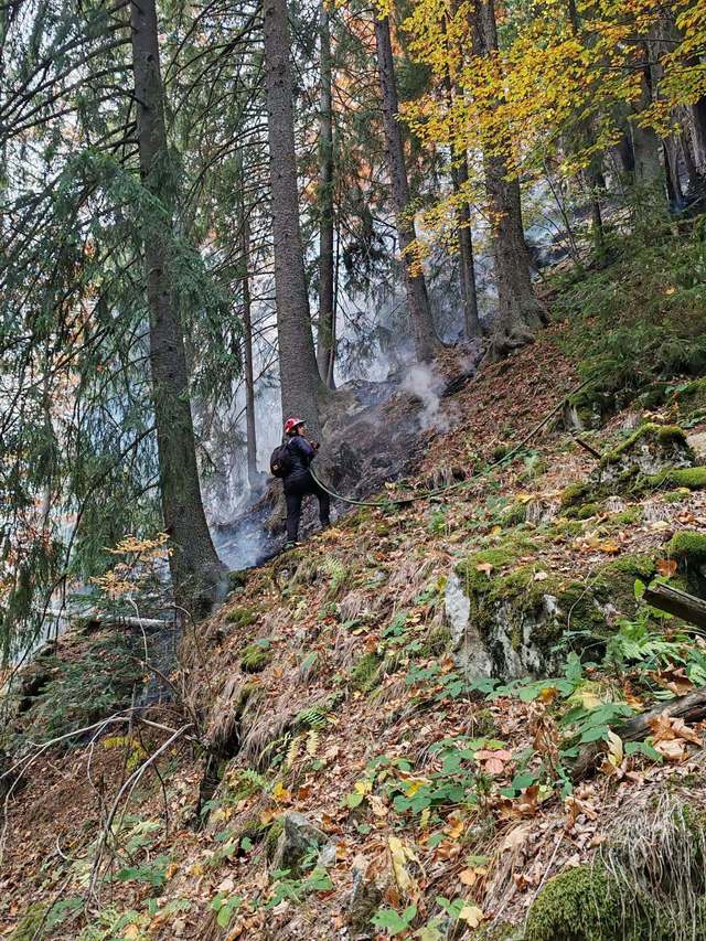 Incendiu în Parcul Național Retezat: focul arde de peste două săptămâni în zona Cheile Buții
