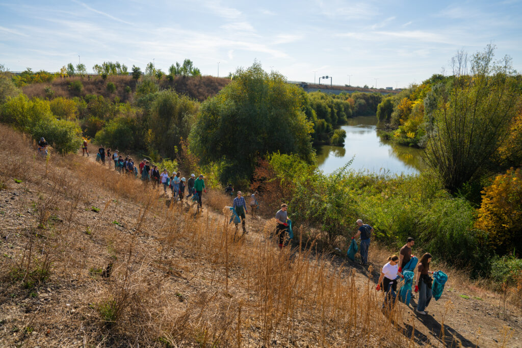 Valea Saulei poate deveni a treia arie naturală protejată din București: biodiversitate și coridoare verzi