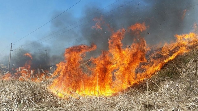 Incendiile de vegetație sunt în scădere, dar numărul intervențiilor rămâne critic, avertizează IGSU