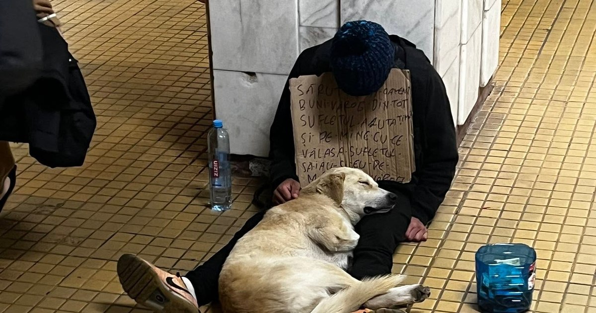 Protest planificat în București: suspiciuni că animalele unui cerșetor sunt sedate