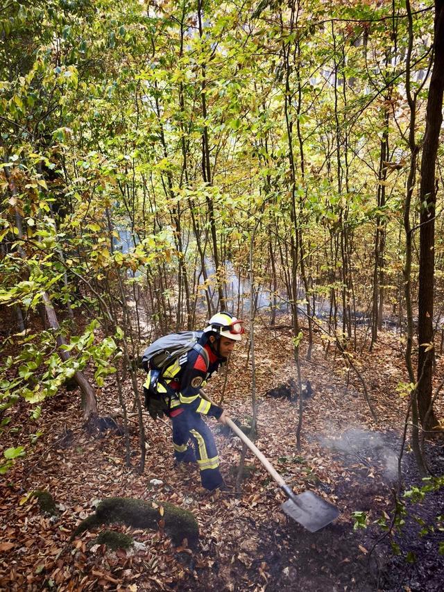 Echipe masive de pompieri luptă cu incendiile în Parcul Național Domogled și la Băile Olănești
