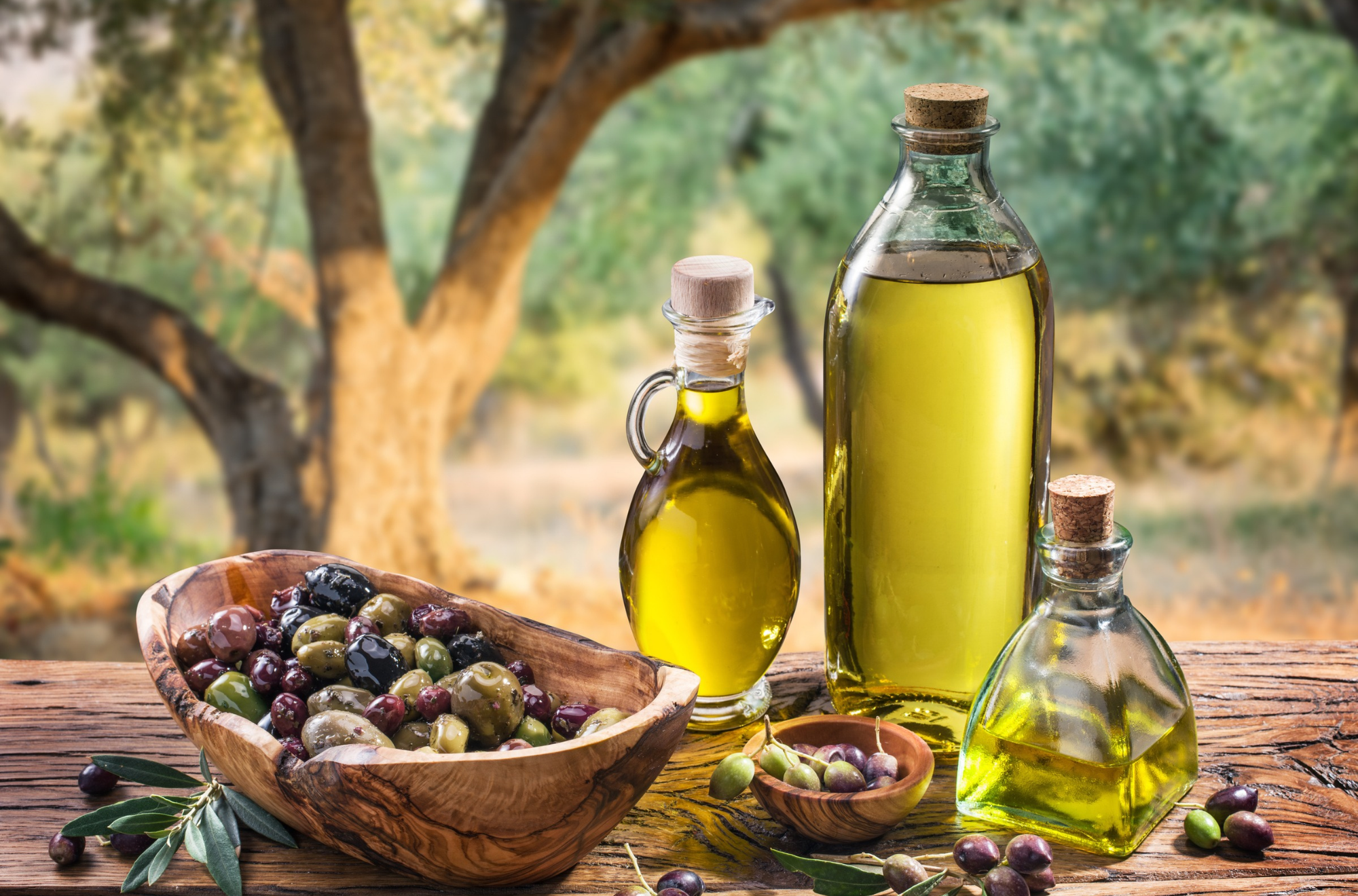 Antreprenori români produc ulei de măsline de calitate în Grecia