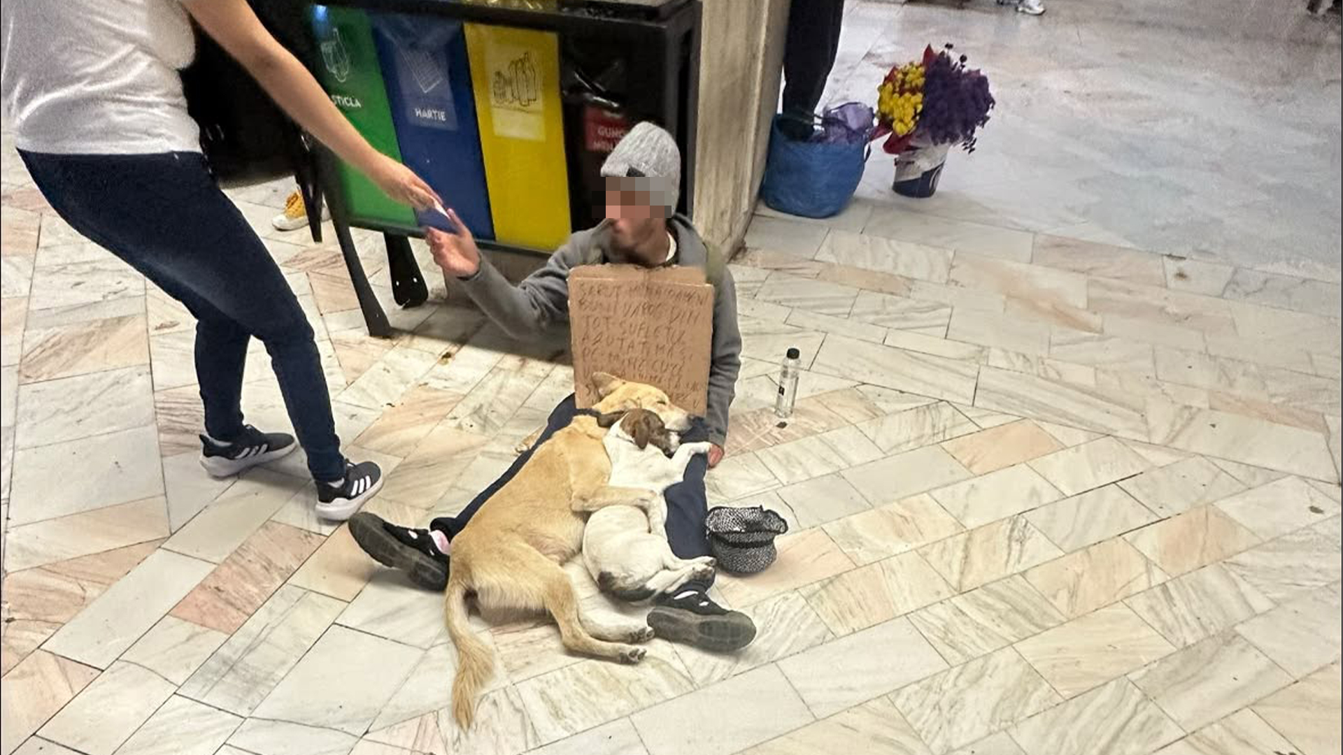 Revoltă în București: un cerșetor este suspectat că sedațează câinii pentru a stârni mila trecătorilor