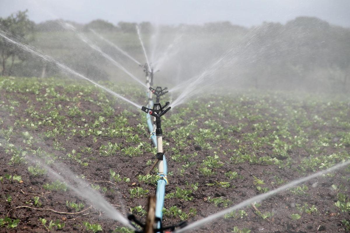 Ungaria utilizează apa din bazinele piscicole pentru irigarea terenurilor agricole afectate de secetă
