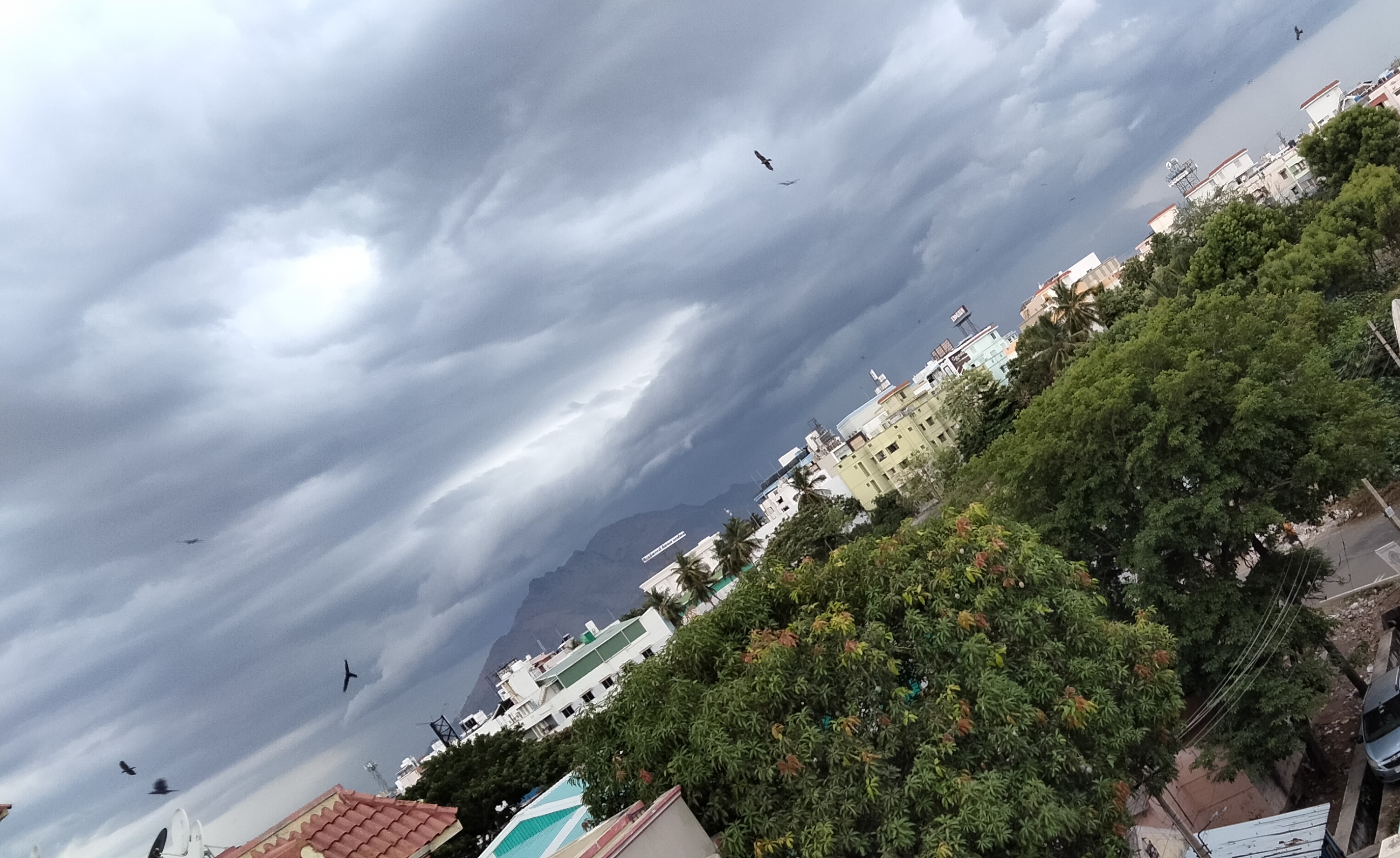 Avertizări meteorologice de la ANM: Cod galben de vânt și precipitații mixte în mai multe zone ale țării