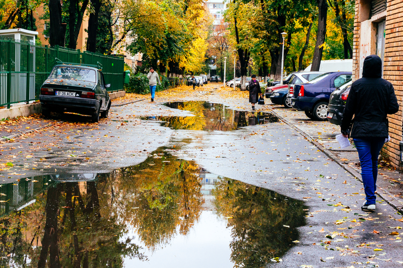 Alertă de vreme severă în România: vânt puternic în mai multe județe și zăpadă la munte